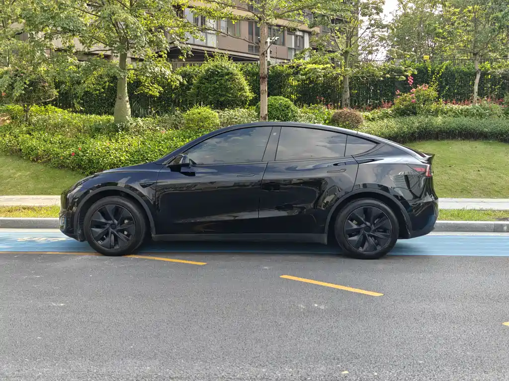 Tesla Model Y — миниатюра 3