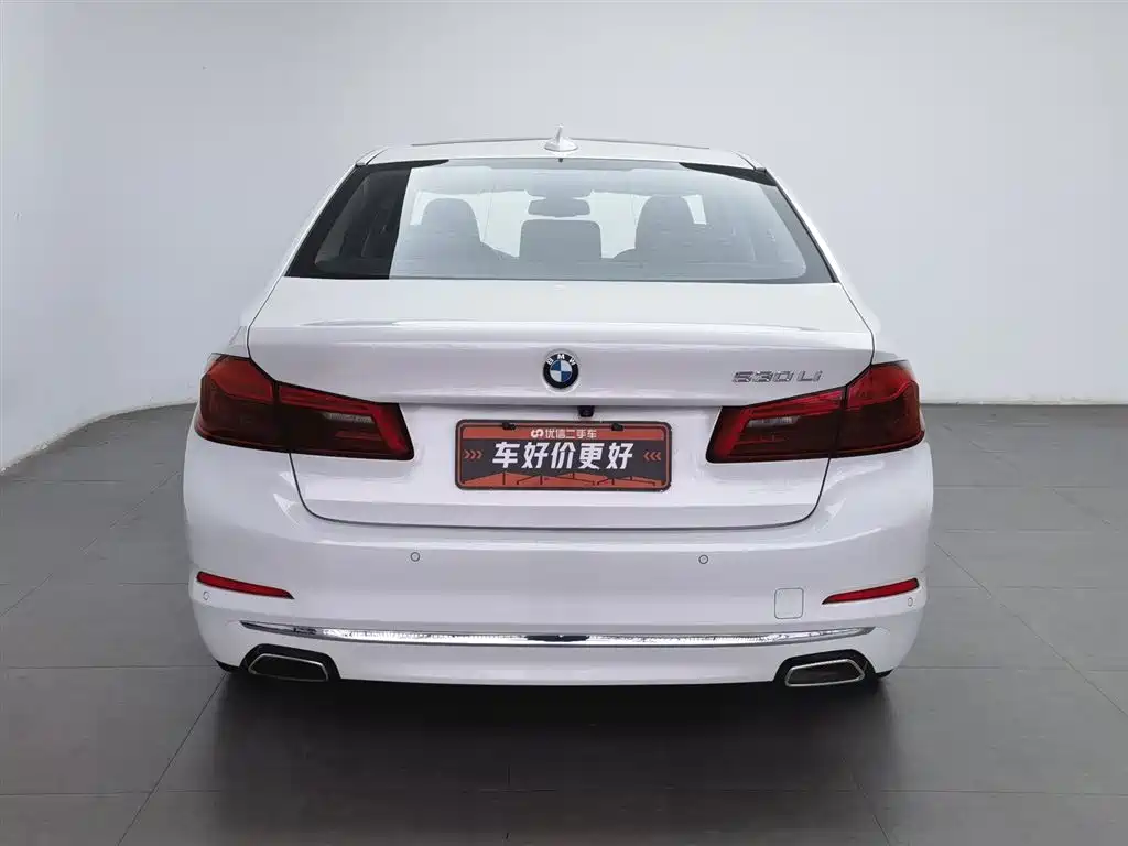 BMW 5 Series 5 2020 530Li Lead Luxury