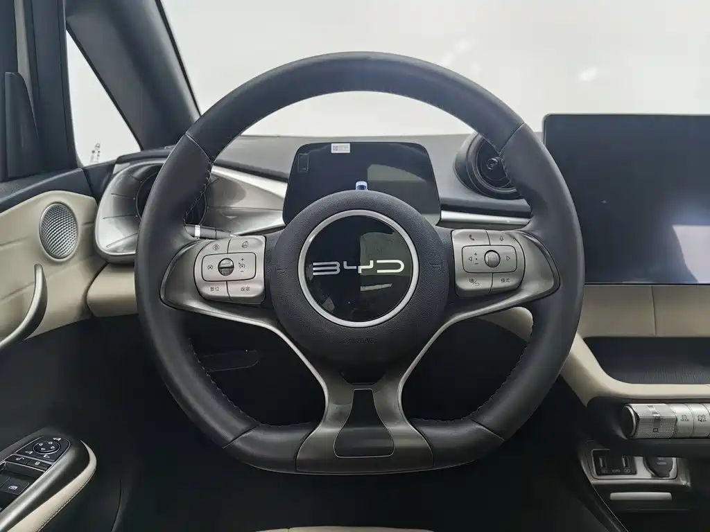 BYD Dolphin — миниатюра 11