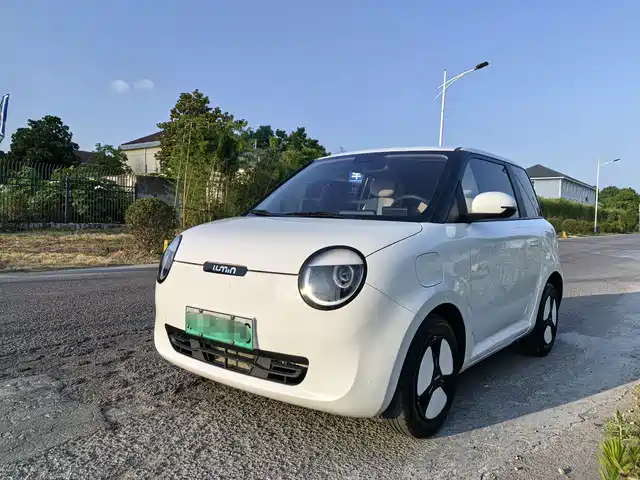 2022 Changan Lumin