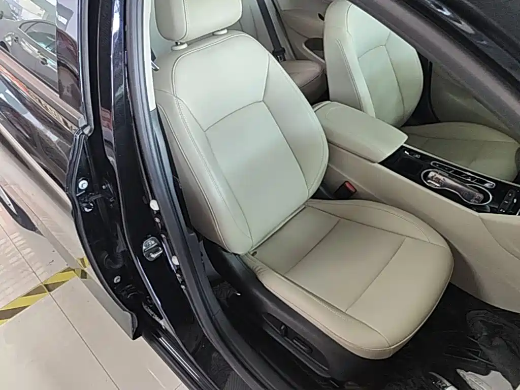 Buick Regal — миниатюра 25