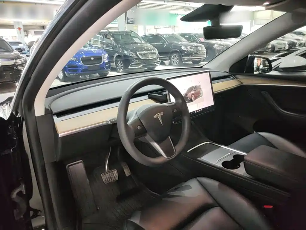 Tesla Model Y — миниатюра 10