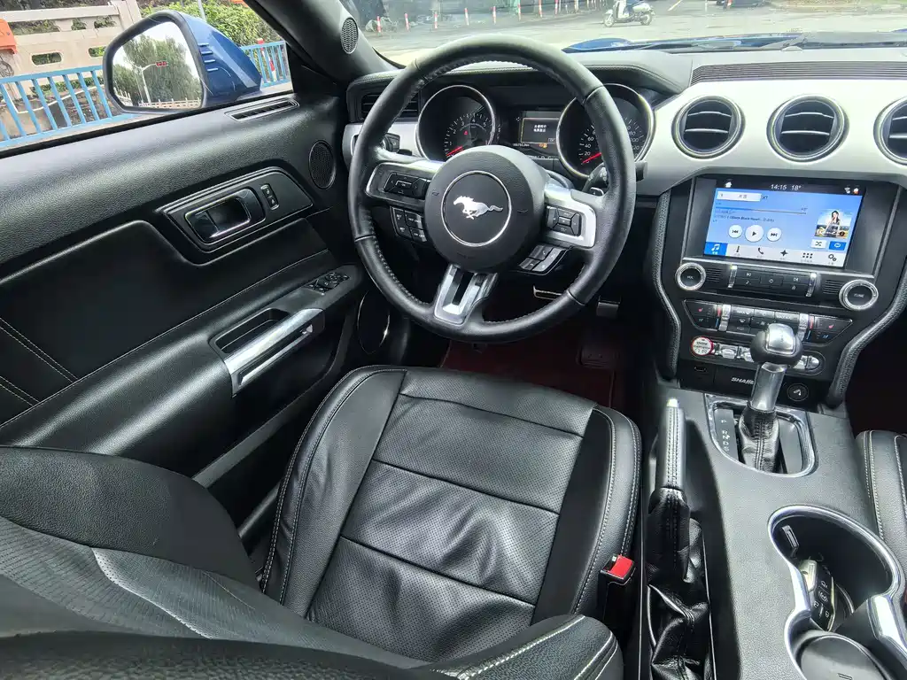 Ford Mustang — миниатюра 14