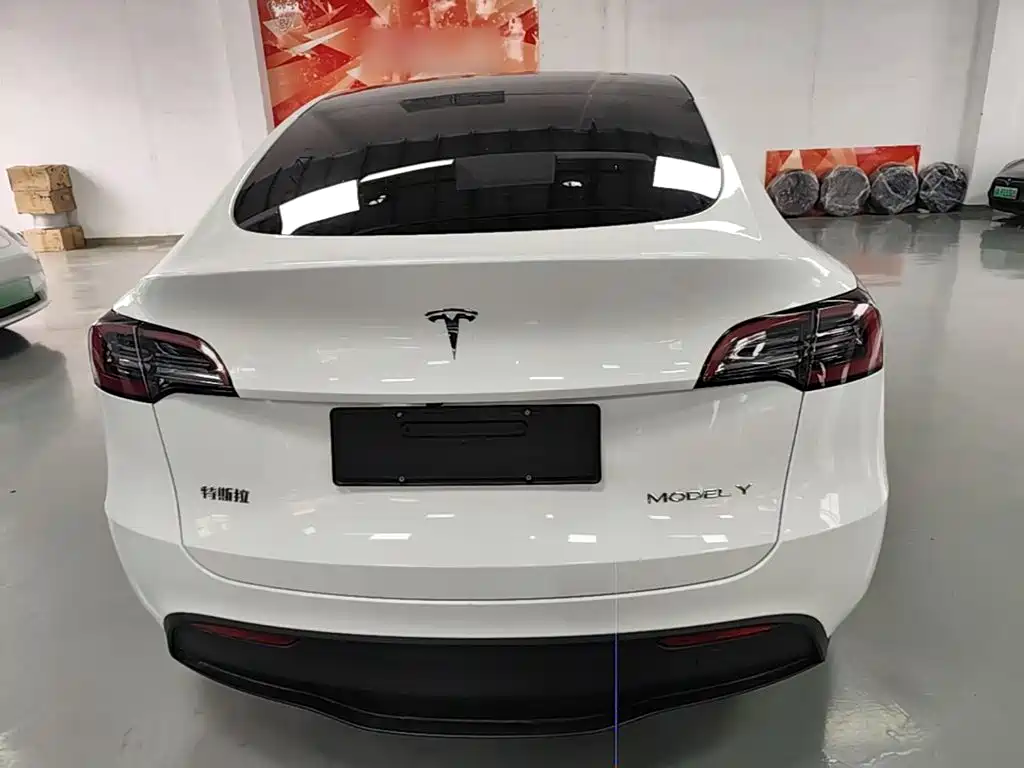 Tesla Model Y — миниатюра 6