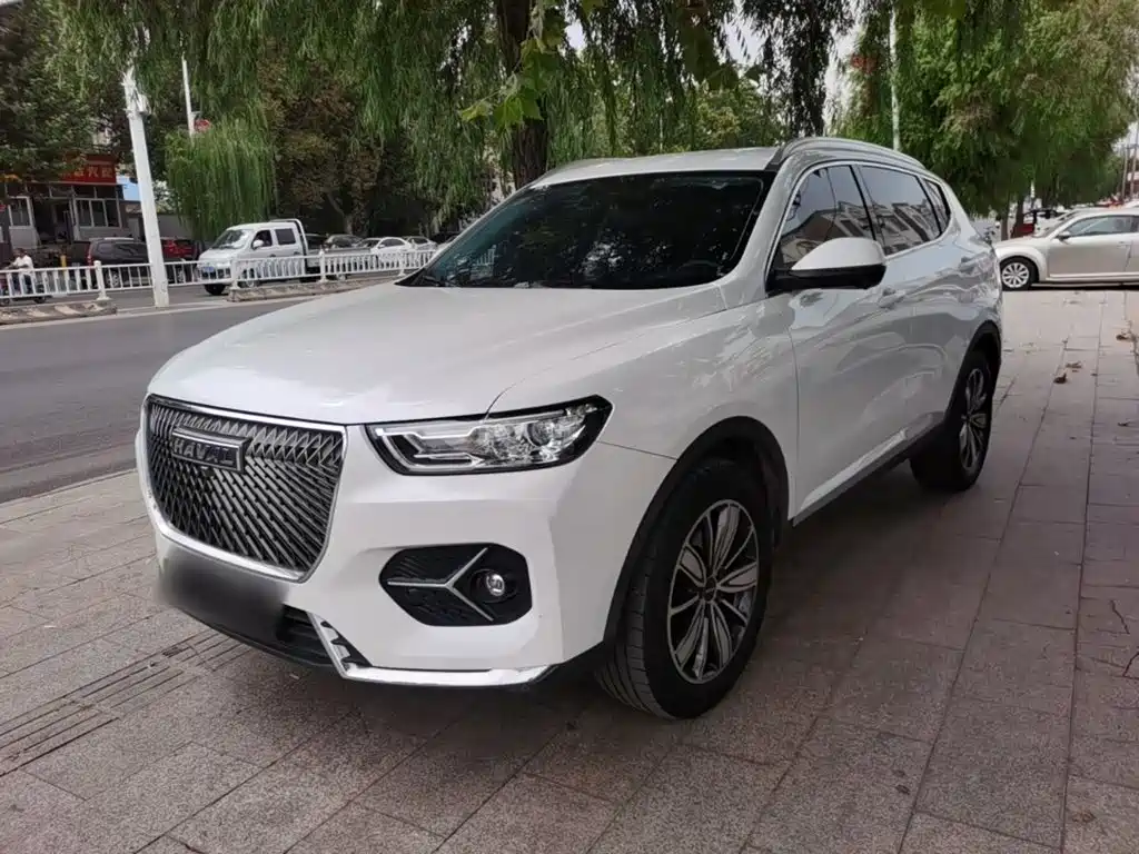 Haval H6 — миниатюра 2