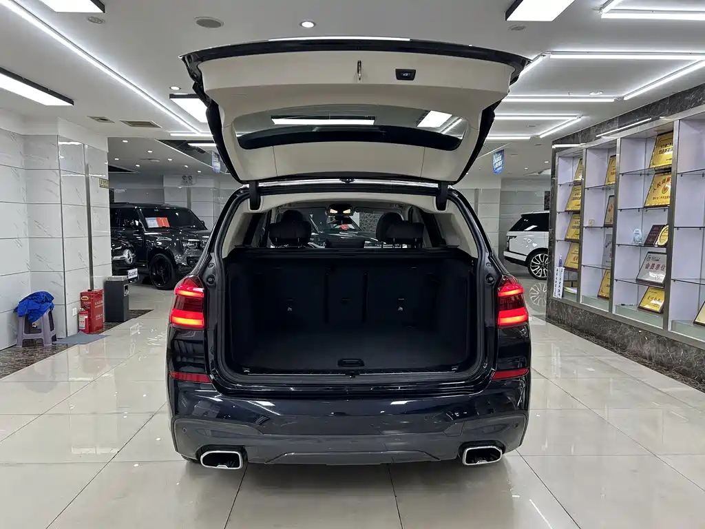 BMW X3 — миниатюра 7