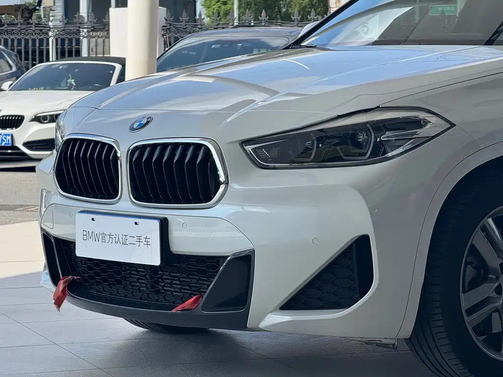 BMW X2 — миниатюра 2