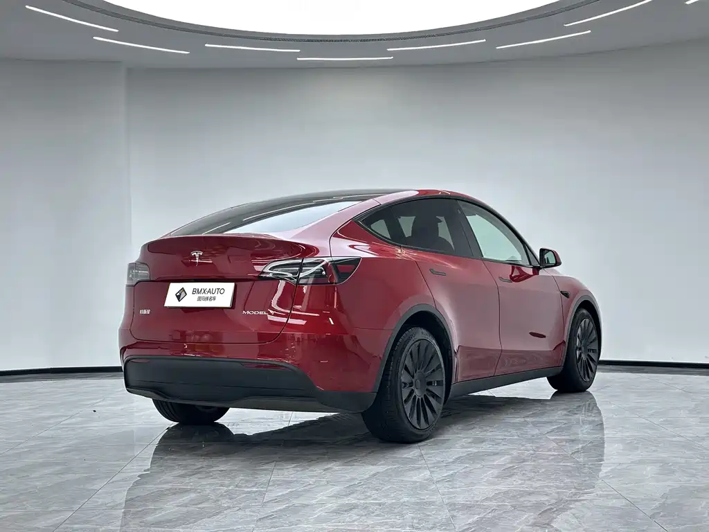 Tesla Model Y — миниатюра 5