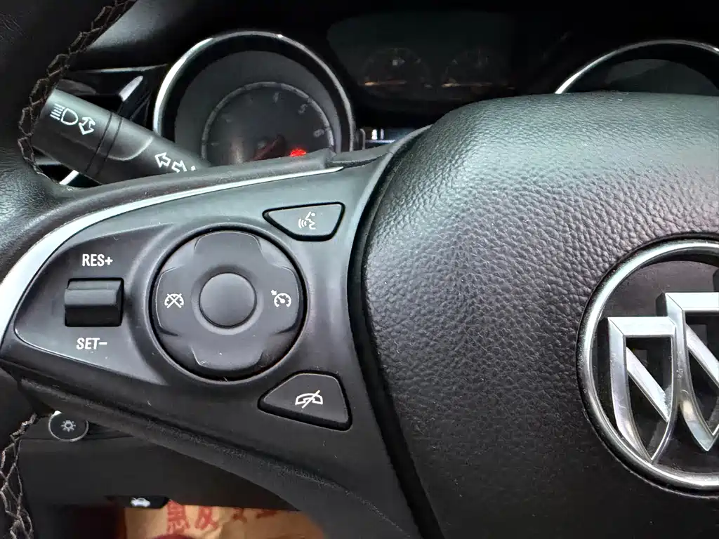 Buick Regal — миниатюра 14