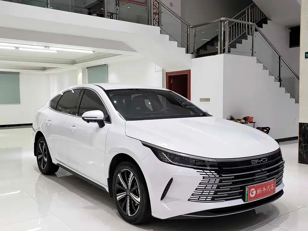 BYD Destroyer 05 — миниатюра 3