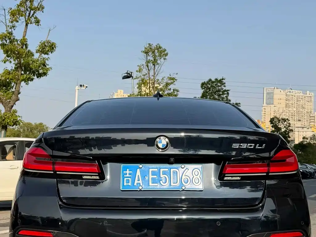 BMW 5 SERIES