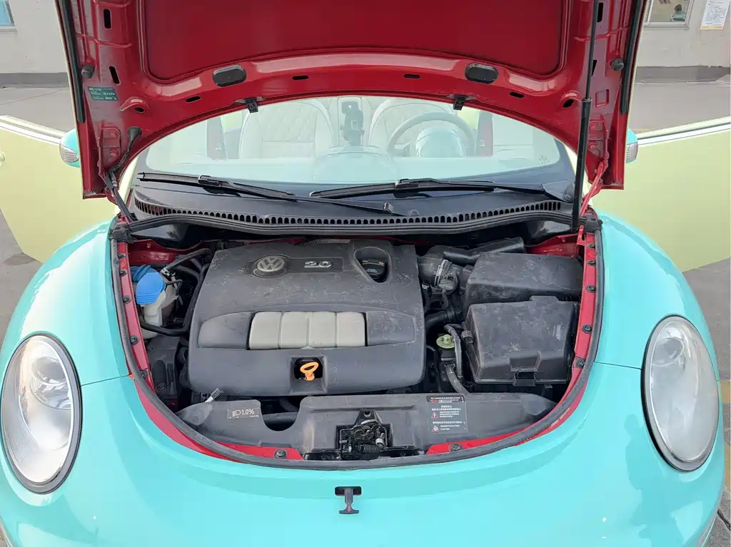 Volkswagen Beetle — миниатюра 18