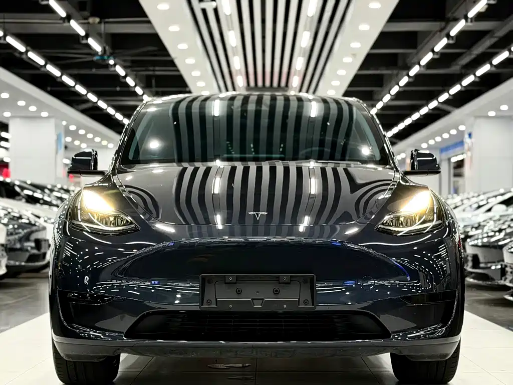 Tesla Model Y — миниатюра 2