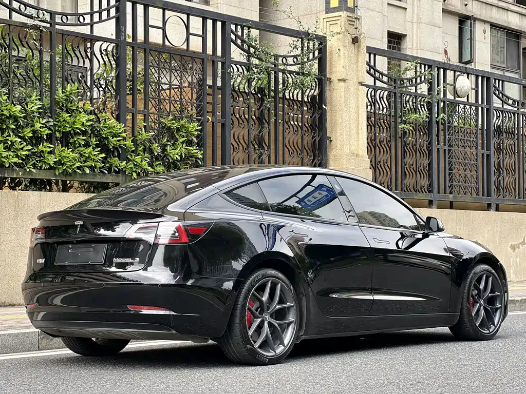 Tesla Model 3 — миниатюра 6