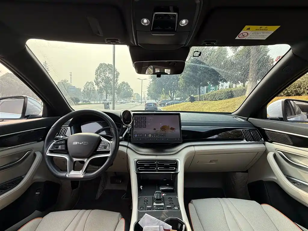 BYD SONGJIANG NEW ENERGY