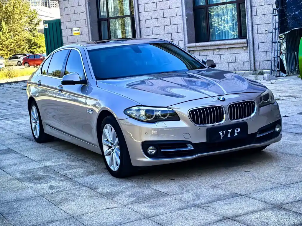 BMW 5 Series — миниатюра 3