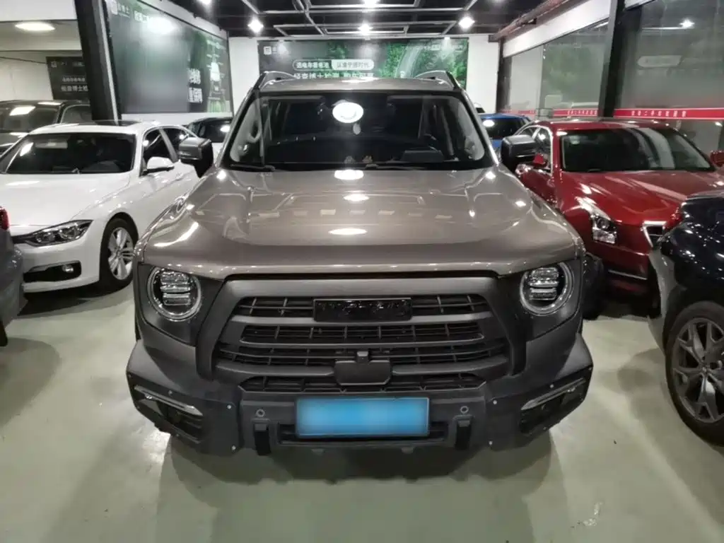 Haval 长城大狗 — миниатюра 3