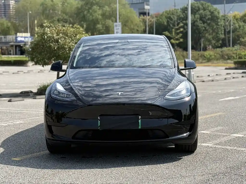 Tesla Model Y — миниатюра 3