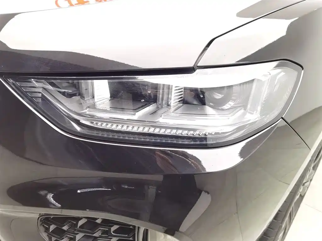 WEI PAI WEI BRAND VV5