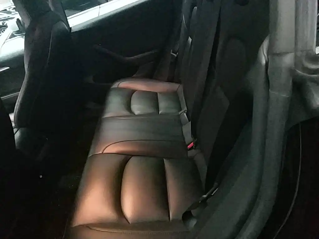 Tesla Model 3 — миниатюра 17