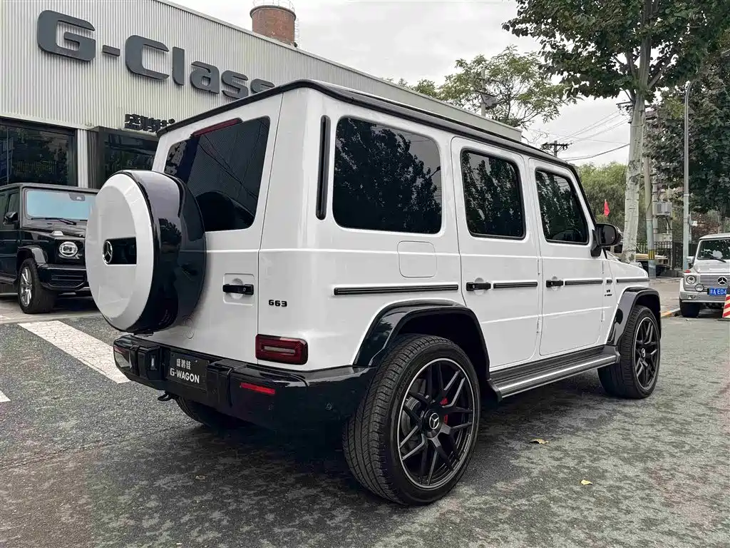 MERCEDES-BENZ  G CLASS