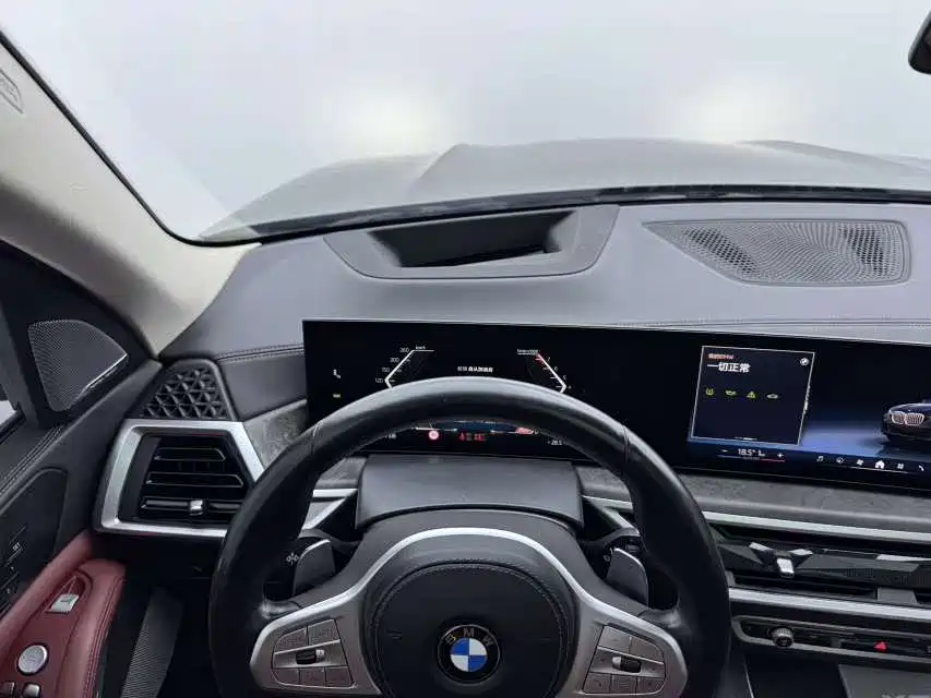 BMW X5 — миниатюра 12