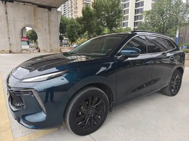 DONGFENG POPULAR T5 EVO 2022