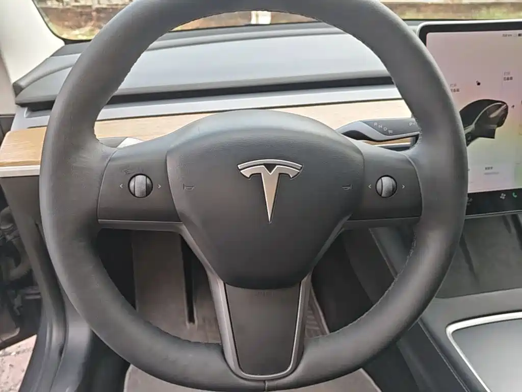 Tesla Model 3 — миниатюра 11
