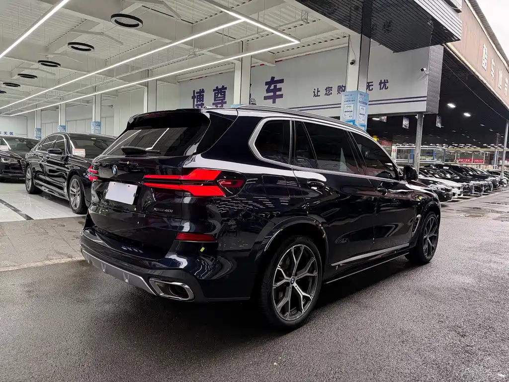 BMW X5 — миниатюра 23