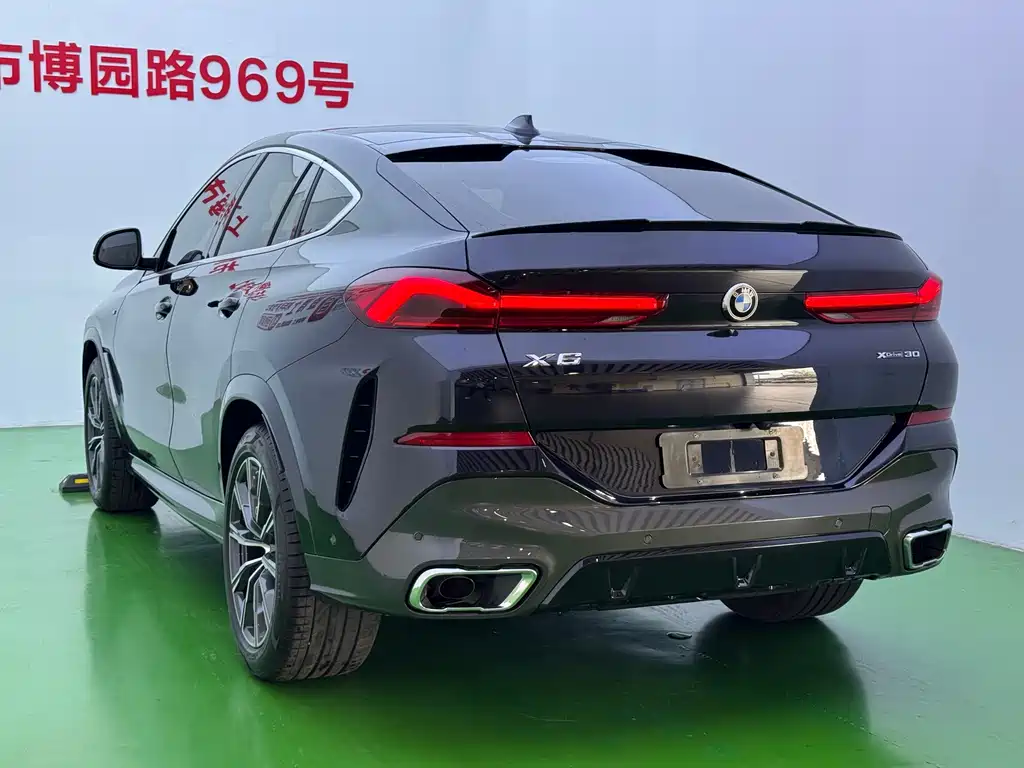 BMW X6 — миниатюра 33