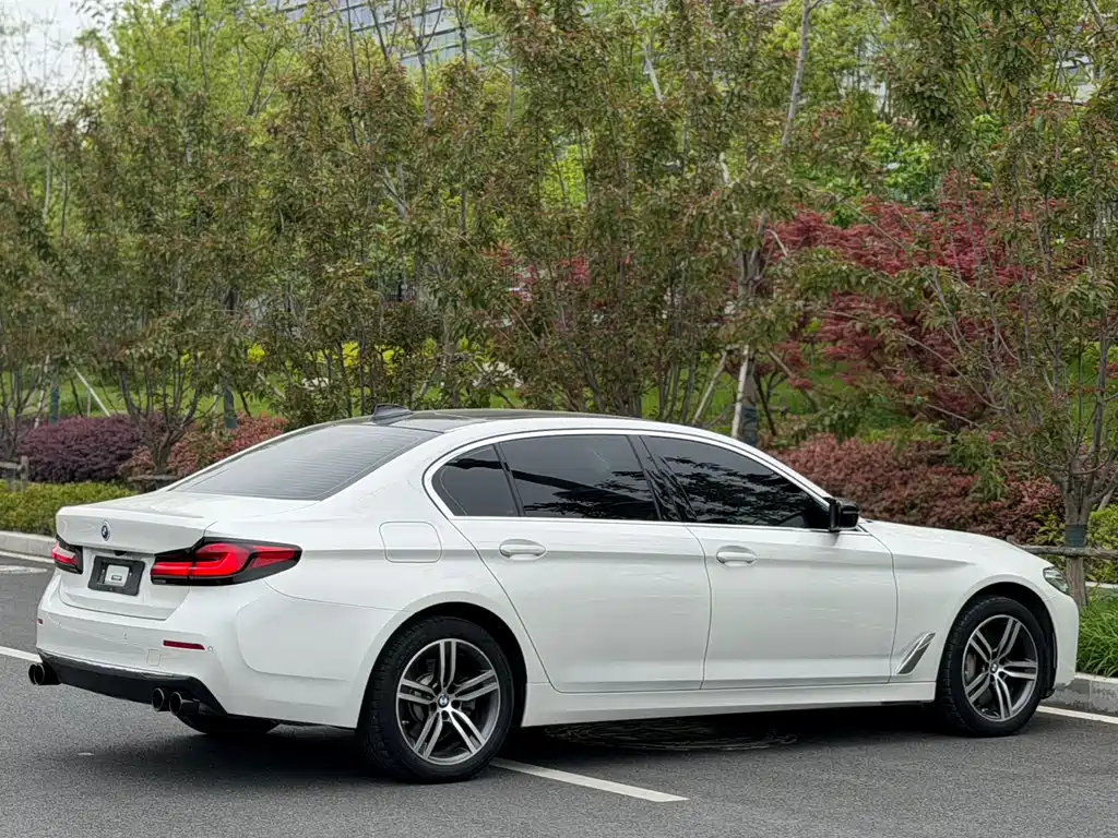 BMW 5 Series 5 2023 530Li Lead Luxury