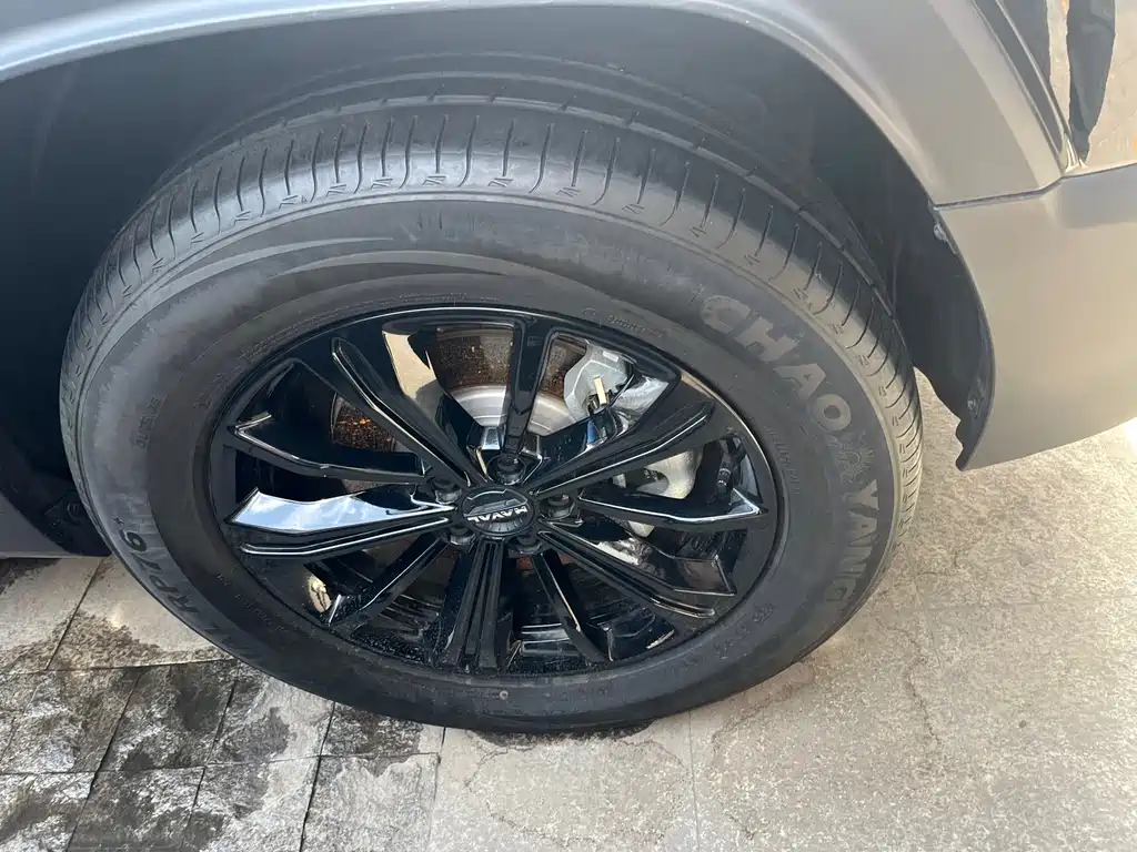 HAVAL RAPTORS NEW ENERGY