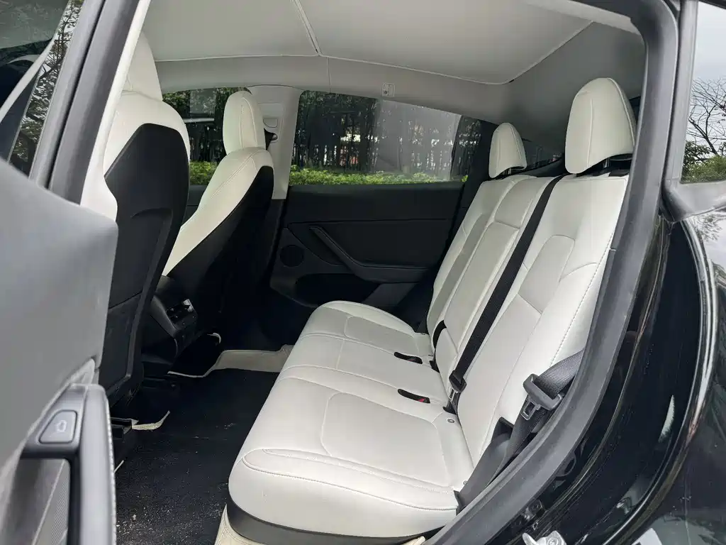 Tesla Model Y — миниатюра 8