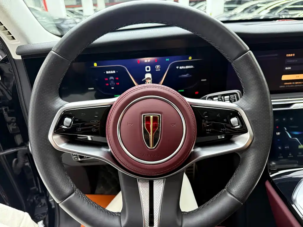 Hongqi Hongqi E-HS9 — миниатюра 9