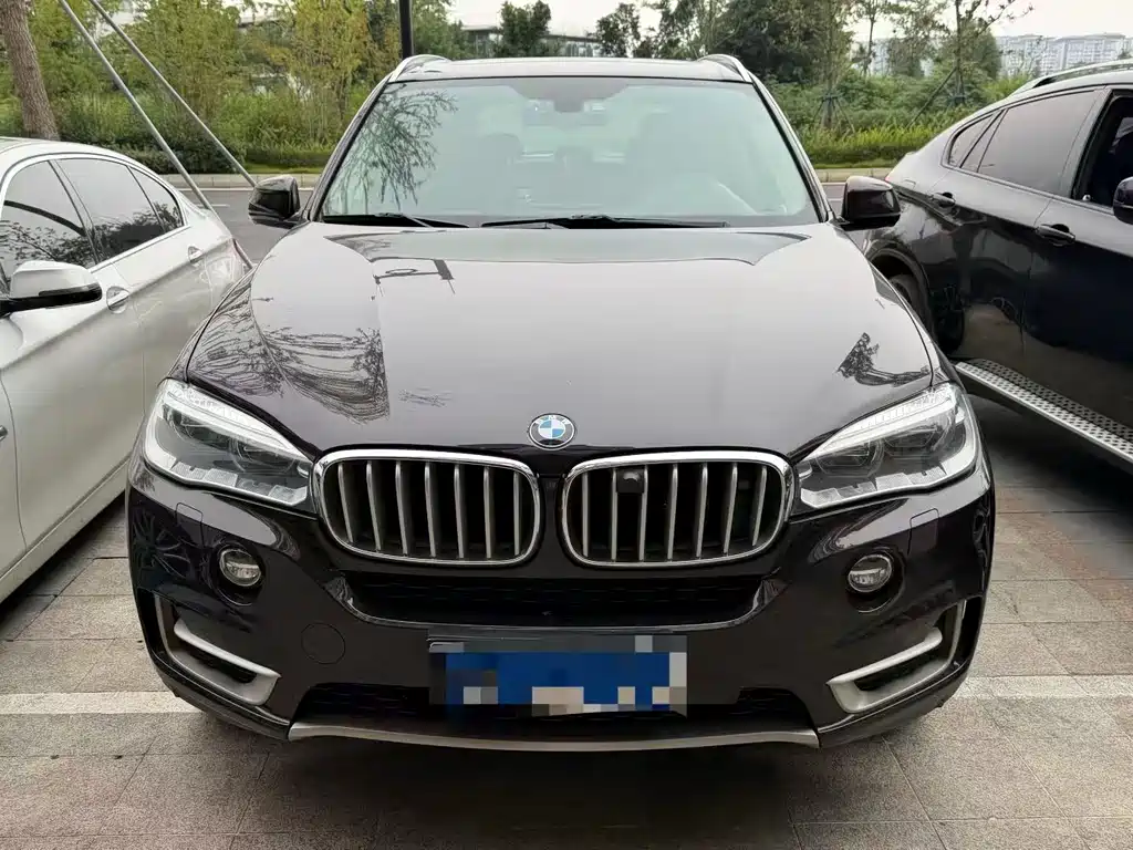 BMW X5 (Import) — миниатюра 2