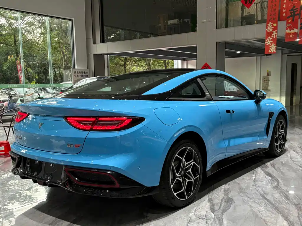 Neta Neta GT — миниатюра 27