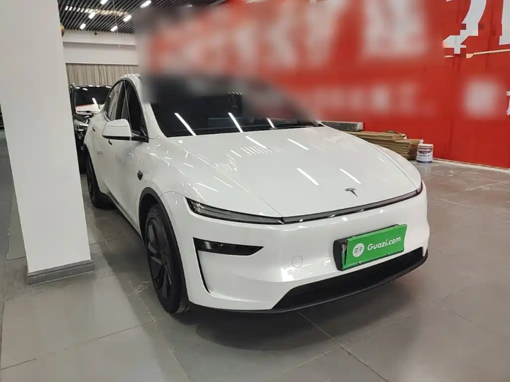 Tesla Model Y — миниатюра 4