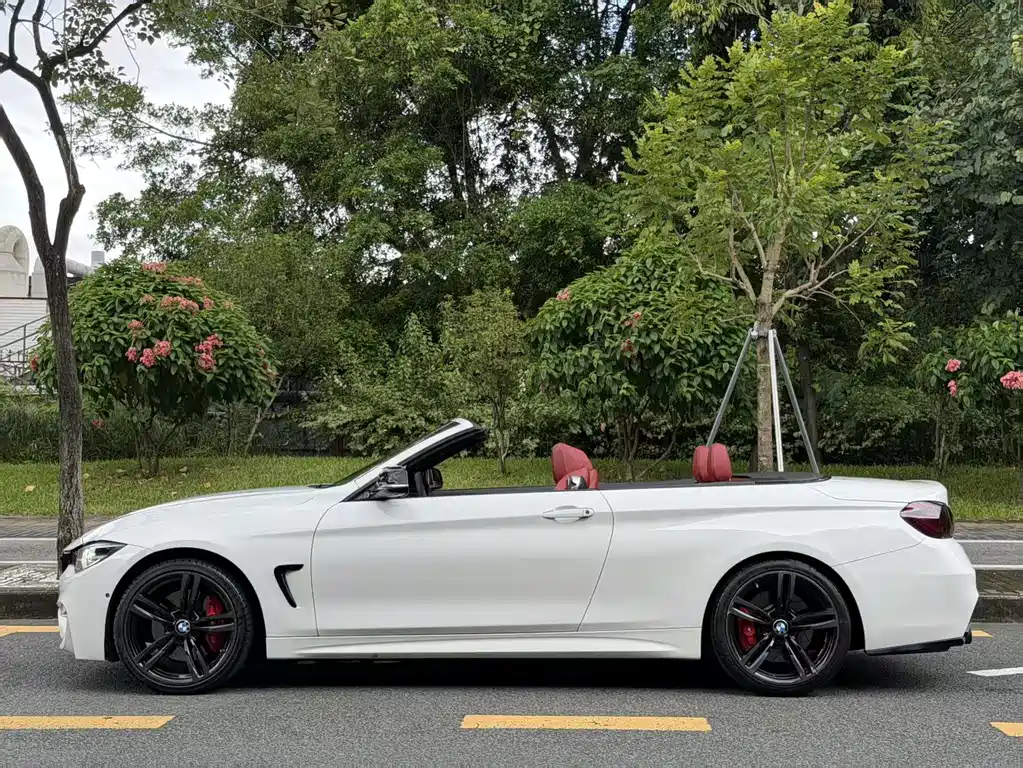 BMW 4 Series — миниатюра 4