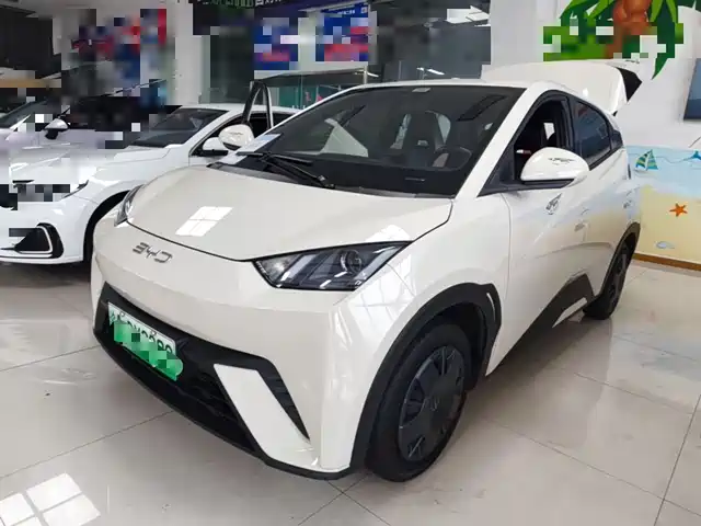 2024 BYD Seagull