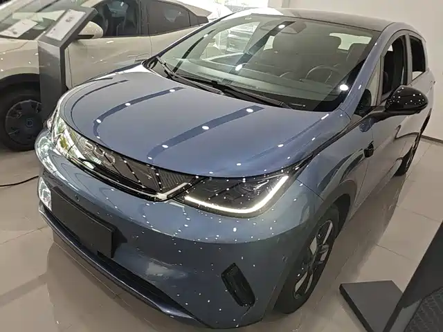 2025 BYD Dolphin