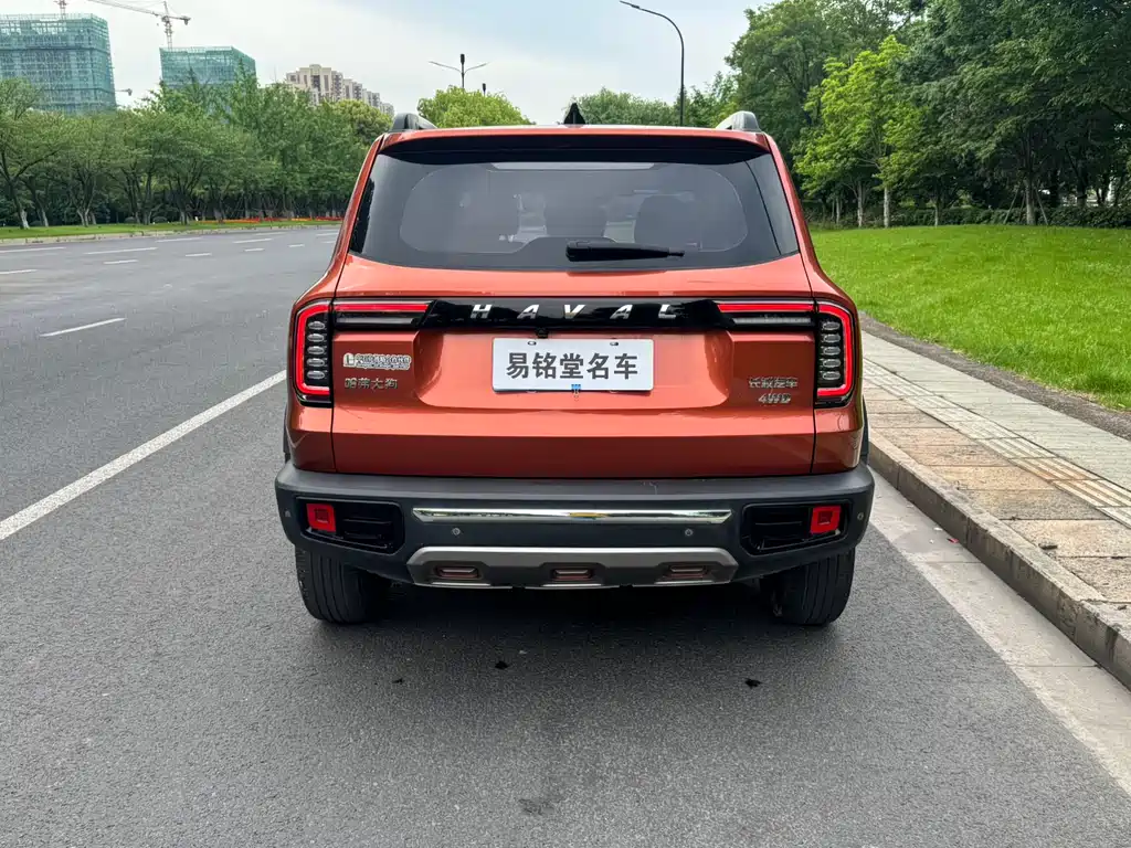 Haval Dargo 2.0T DCT 4WD Chinese Rural Dog Edition, фото 5