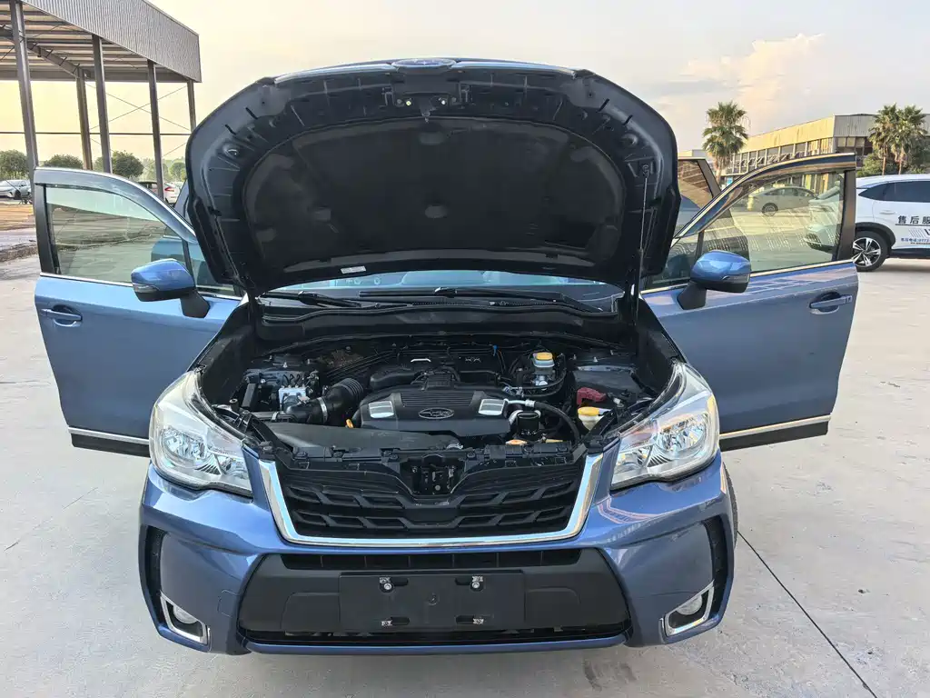 Subaru Forester — миниатюра 12