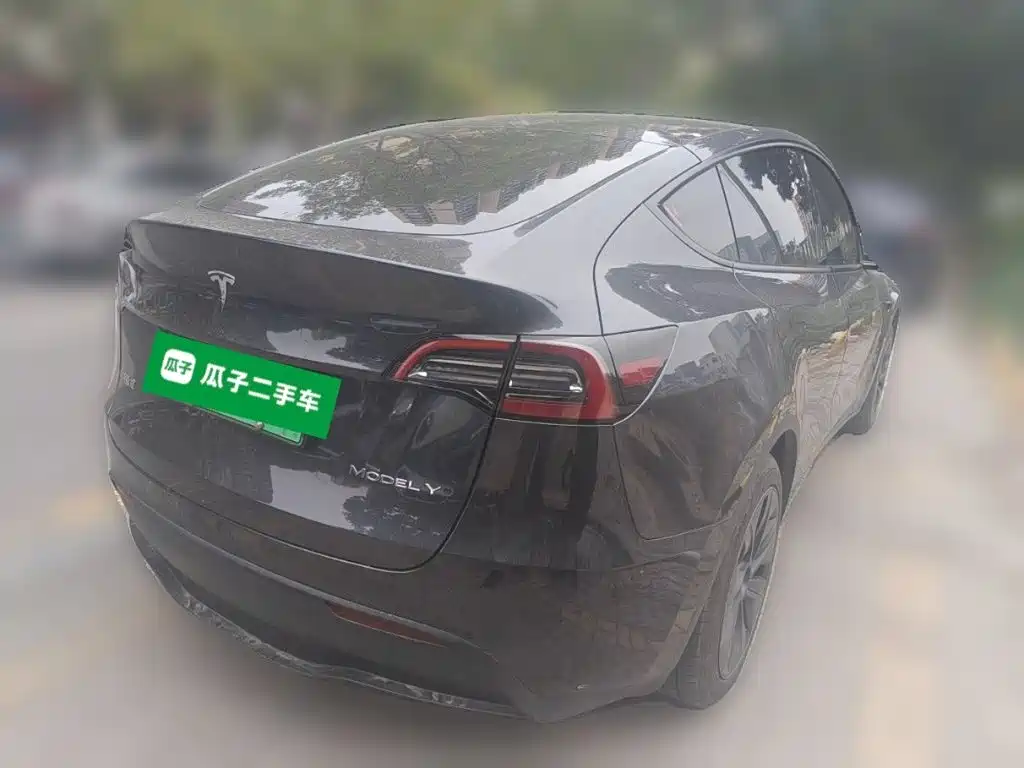 Tesla Model Y — миниатюра 4