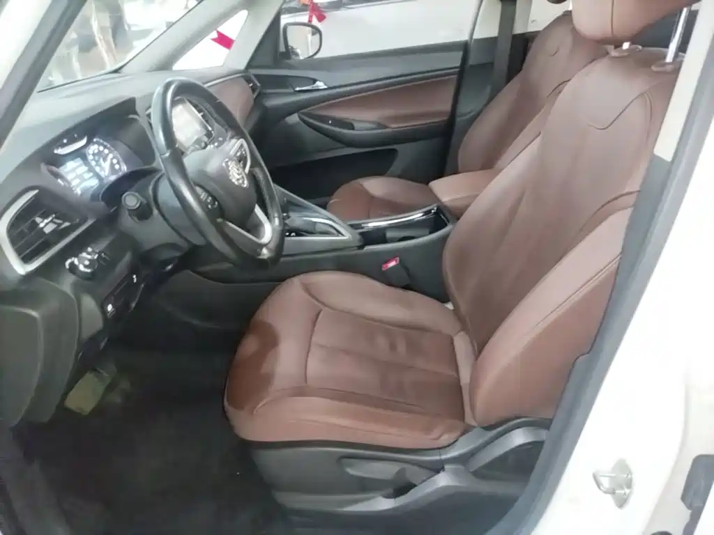 Buick GL6 — миниатюра 12