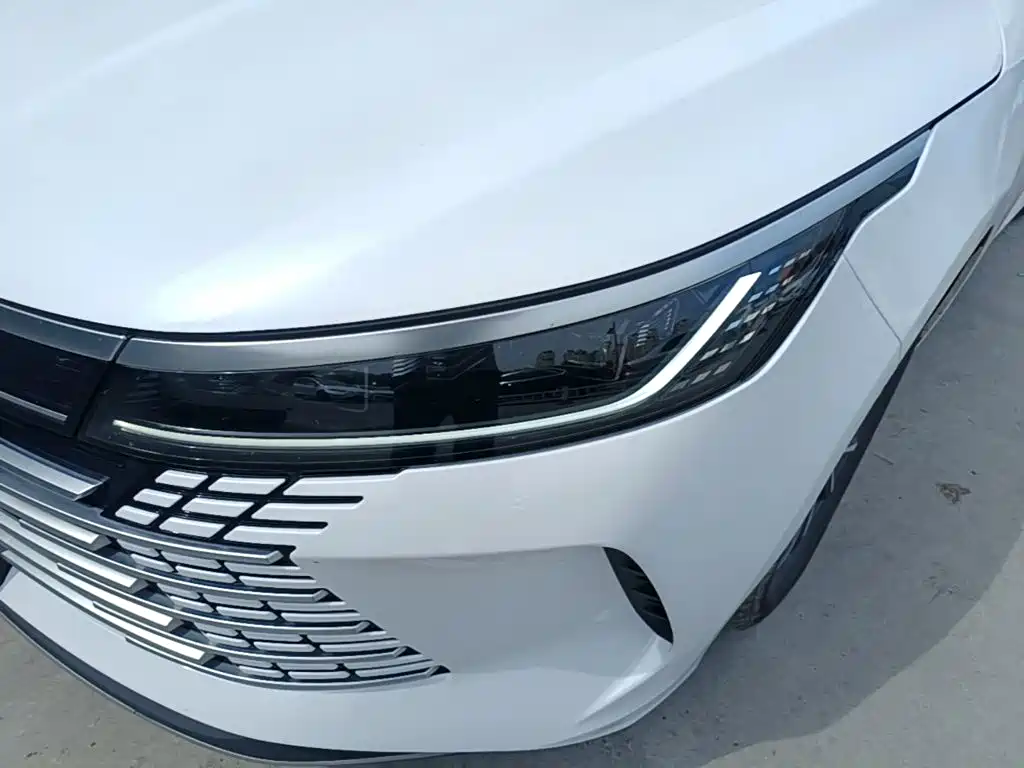 BYD Destroyer 05 — миниатюра 24