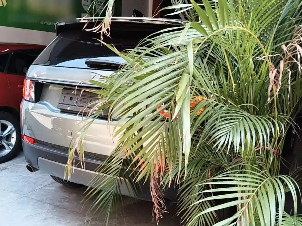 Land Rover Discovery Sport — миниатюра 7