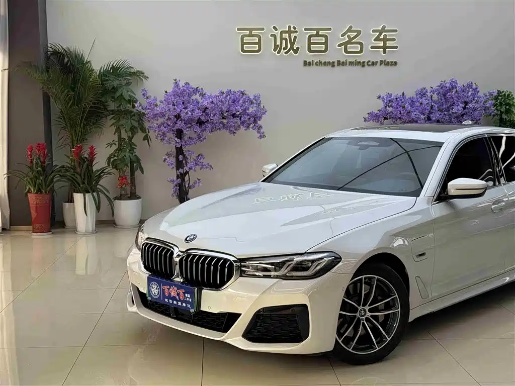 BMW 5 SERIES NEW ENERGY