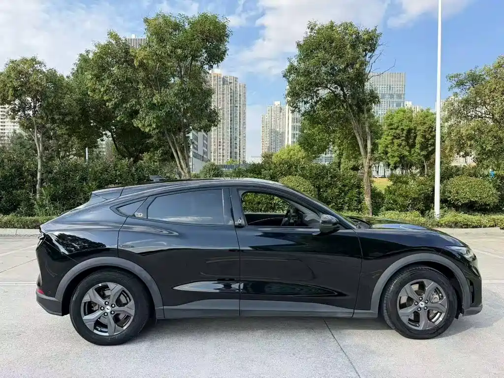 Ford Mustang Mach-E — миниатюра 8