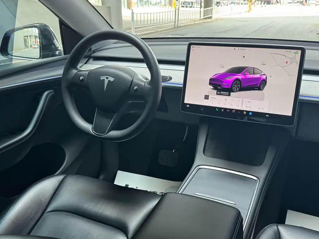 Tesla Model Y — миниатюра 11