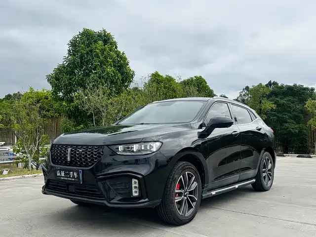 WEI PAI WEI BRAND VV5 2020